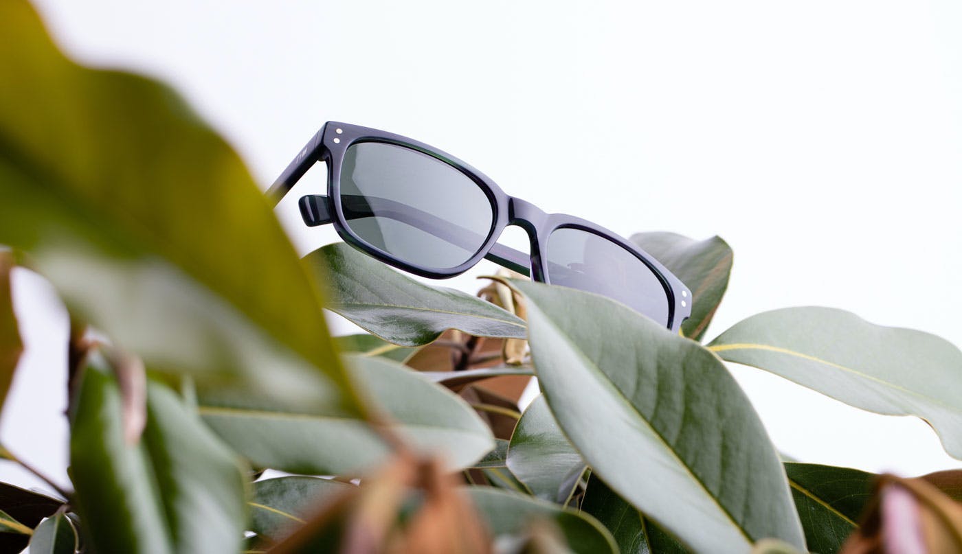 Otis Eco Sunglasses