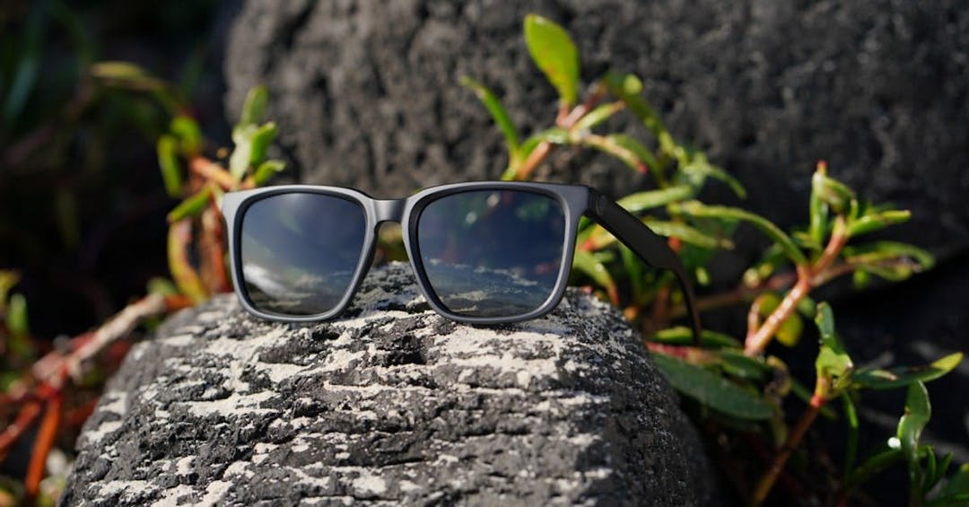 Dragon Plant-Based Resin sunglasses