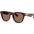 BE4439, Dark Havana/Dark Brown Lenses