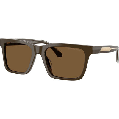 EA4262U, Shiny Brown/Brown Lenses