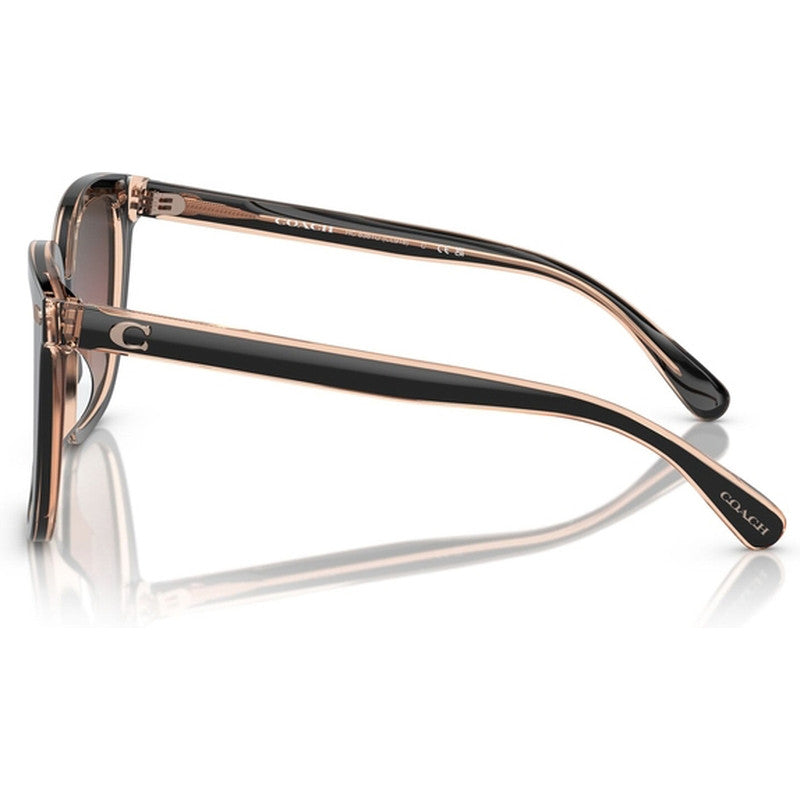 HC8381U, Black/Light Brown and Violet Gradient Lenses