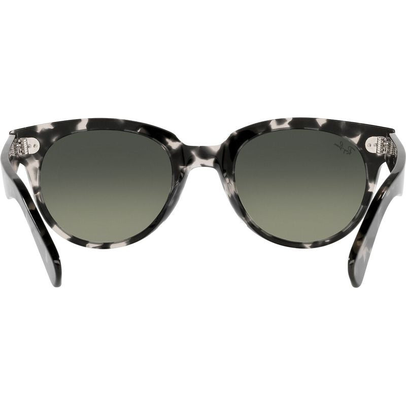 Orion RB2199, Grey Havana/Dark Grey Gradient Glass Lenses