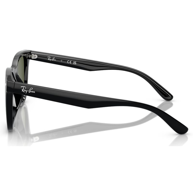 RB4420, Black/Dark Green Polarised Lenses