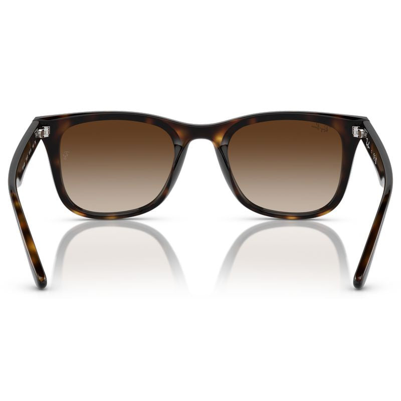 RB4420, Havana/Brown Gradient Lenses