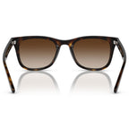 RB4420, Havana/Brown Gradient Lenses