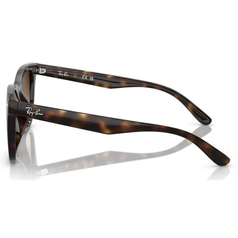 RB4420, Havana/Brown Gradient Lenses