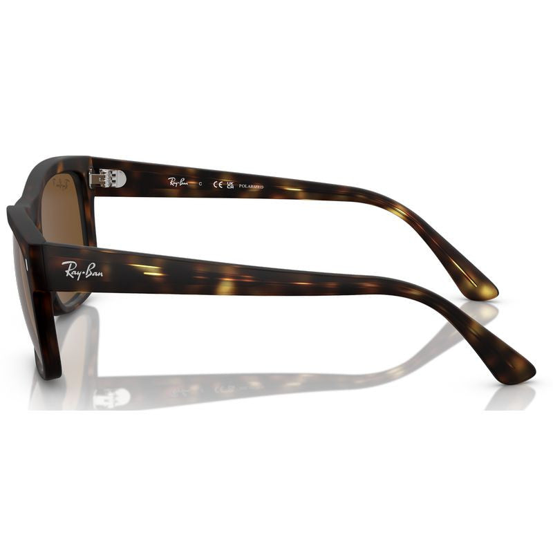 RB4428, Matte Havana/Brown Polarised Glass Lenses