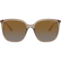 VO5564S, Transparent Brown/Brown Grey Gradient Polarised Lenses