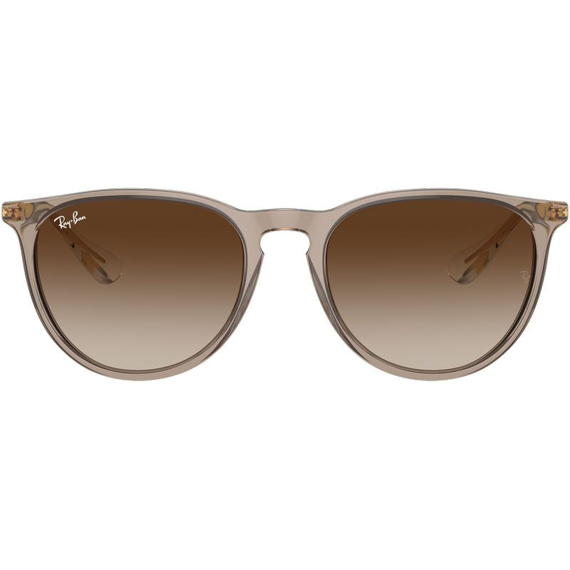 Erika Classic RB4171, Transparent Light Brown/Brown Gradient Lenses