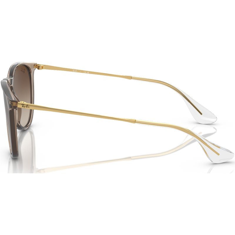 Erika Classic RB4171, Transparent Light Brown/Brown Gradient Lenses