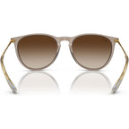 Erika Classic RB4171F, Transparent Light Brown/Brown Gradient Lenses