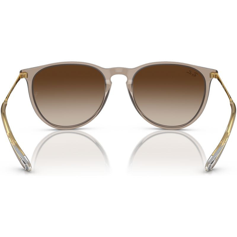Erika Classic RB4171, Transparent Light Brown/Brown Gradient Lenses