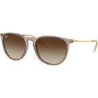 Erika Classic RB4171, Transparent Light Brown/Brown Gradient Lenses
