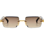 Sangha, Gents Tort/Brown Gradient Lenses