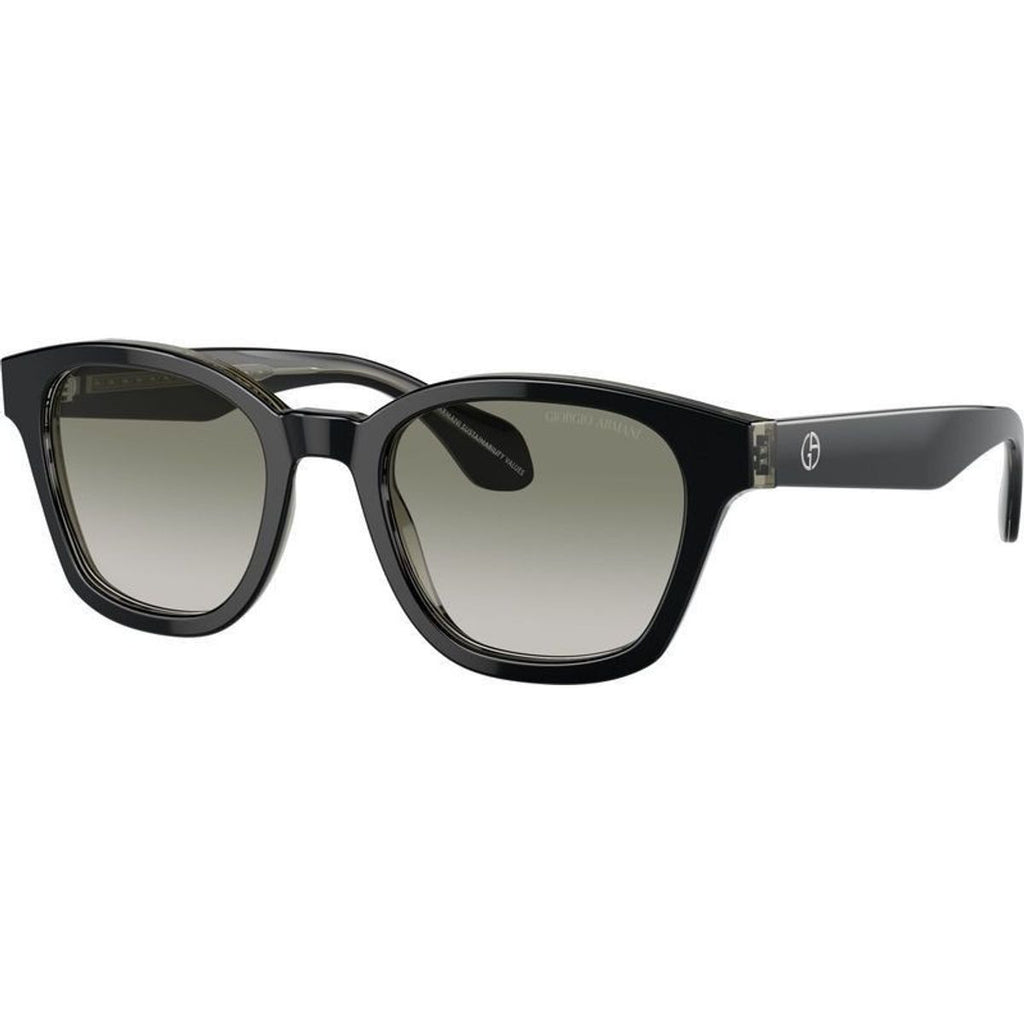 AR8207F, Top Black Transparent Green/Green Gradient Lenses