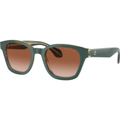 AR8207F, Top Green Transparent Olive/Brown Gradient Lenses