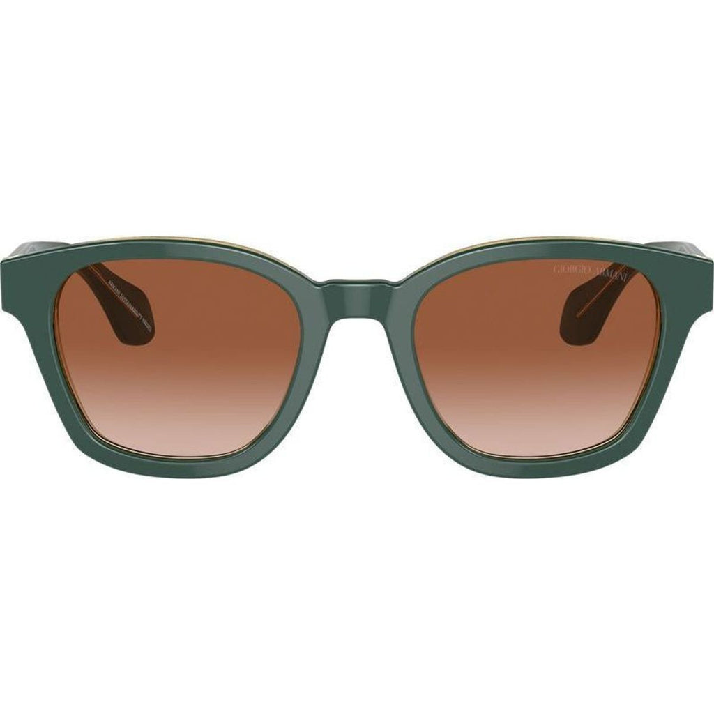 AR8207F, Top Green Transparent Olive/Brown Gradient Lenses