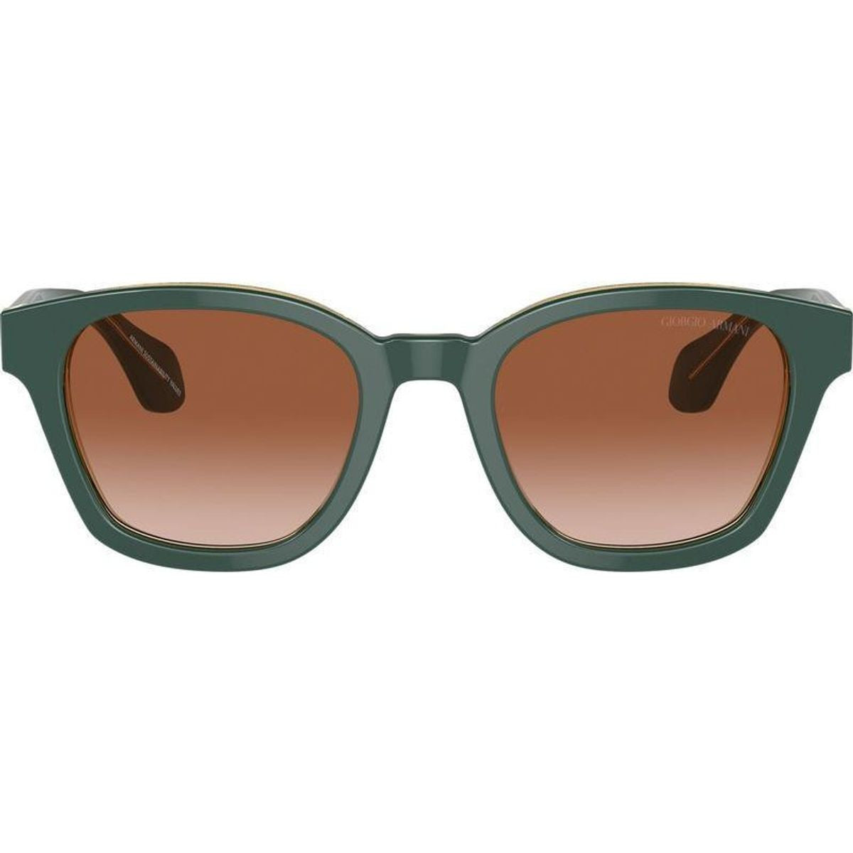 AR8207F, Top Green Transparent Olive/Brown Gradient Lenses