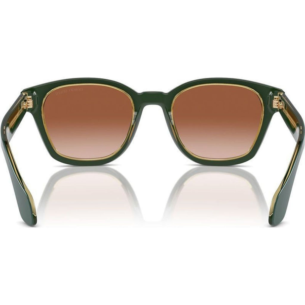 AR8207F, Top Green Transparent Olive/Brown Gradient Lenses