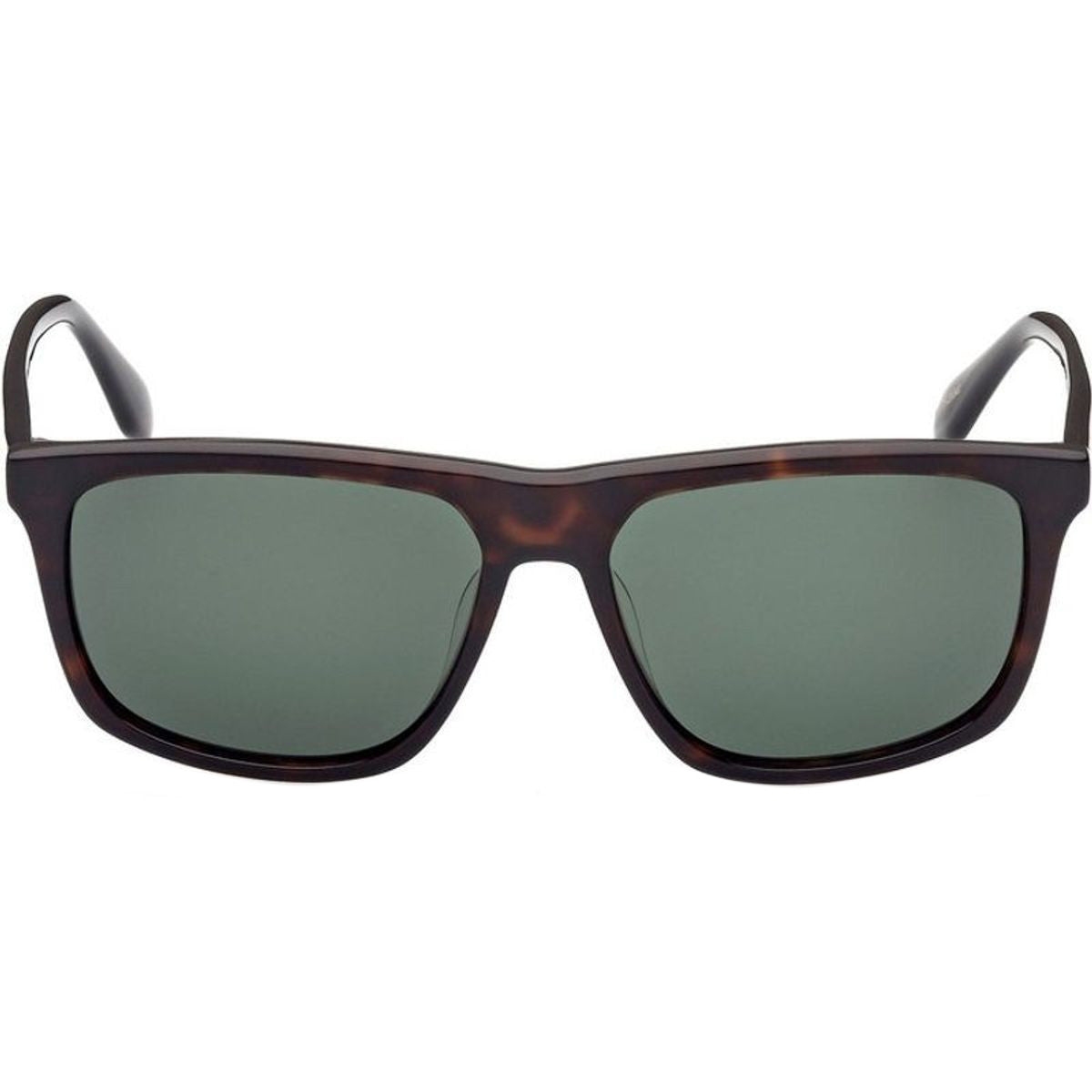 OR0062, Havana/Green Lenses
