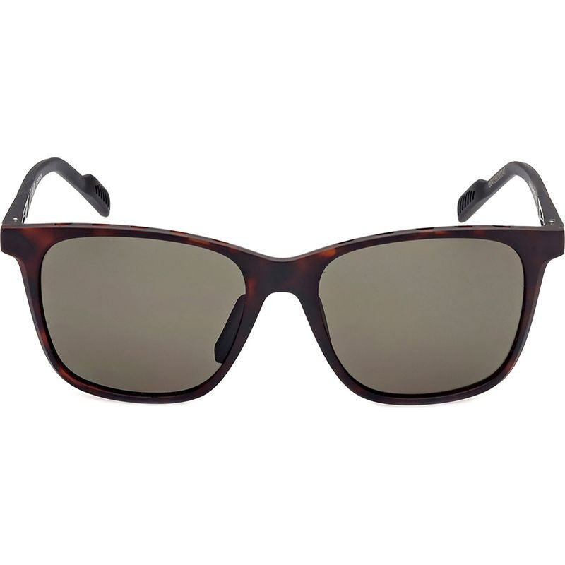 SP0051, Dark Havana/Green Lenses