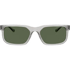AN4372, Transparent Light Grey/Dark Green Polarised Lenses