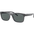 Bandra AN4298, Transparent Grey/Dark Grey Polarised Lenses