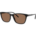 Cortex AN4291, Black/Dark Brown Lenses
