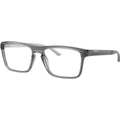 AN7288, Grey and Metallic Silver/Clear Lenses