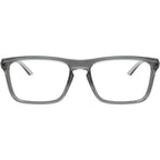AN7288, Grey and Metallic Silver/Clear Lenses