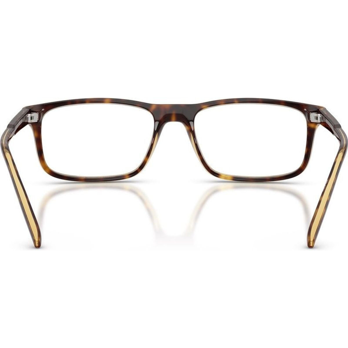Dark Voyager AN7194, Dark Havana/Clear Lenses