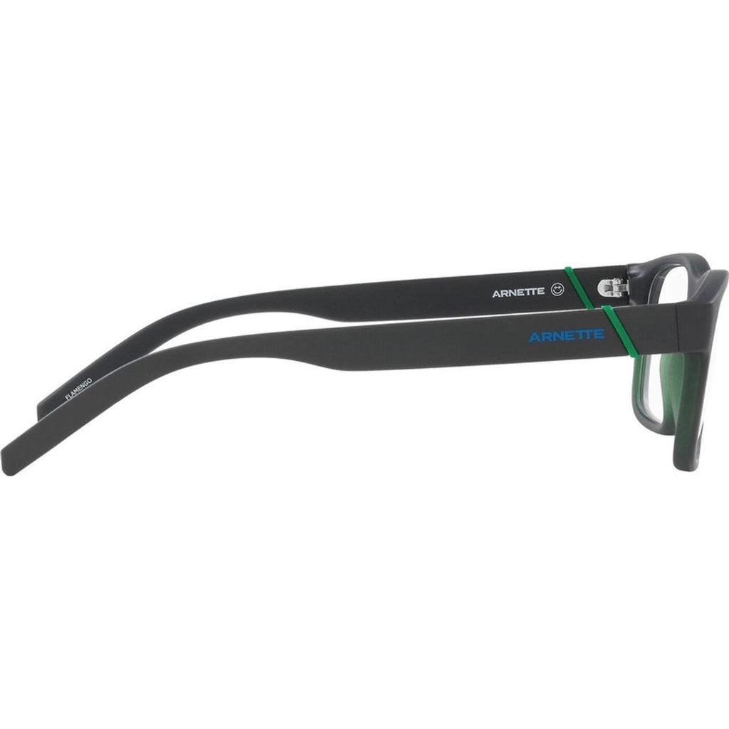 Flamengo AN7230, Matte Grey and Transparent/Clear Lenses