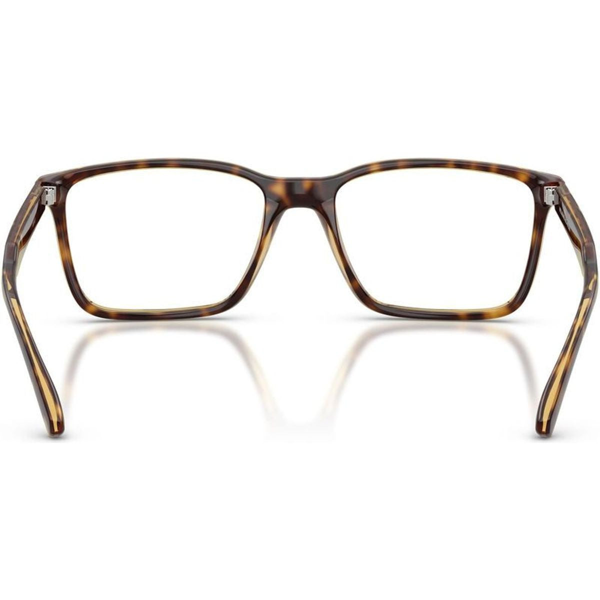 Nakki AN7208, Dark Havana/Clear Lenses 54 Eye Size