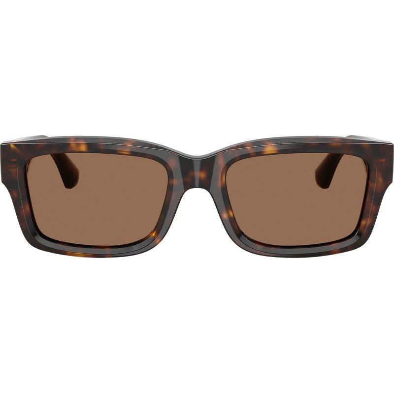 BE4443, Dark Havana/Dark Brown Lenses