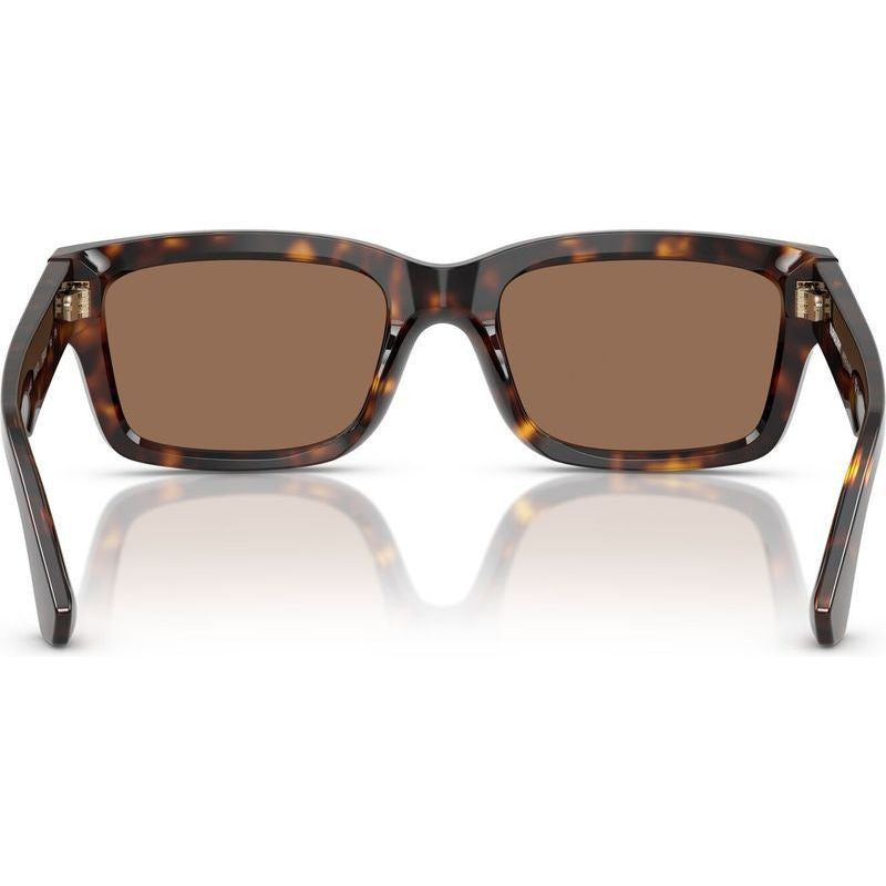 BE4443, Dark Havana/Dark Brown Lenses
