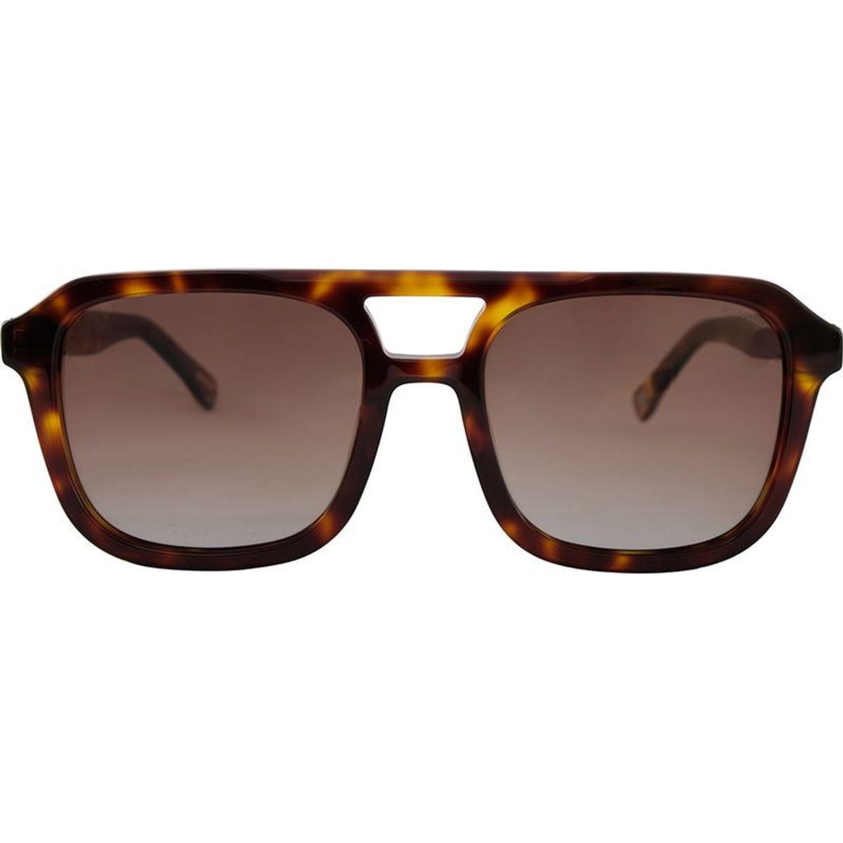 Albus, Demi/Brown Gradient Polarised Lenses