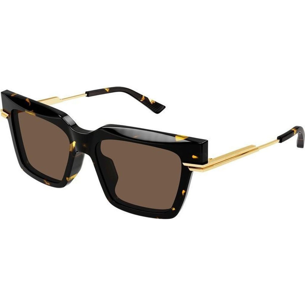 BV1242S, Havana/Brown Lenses