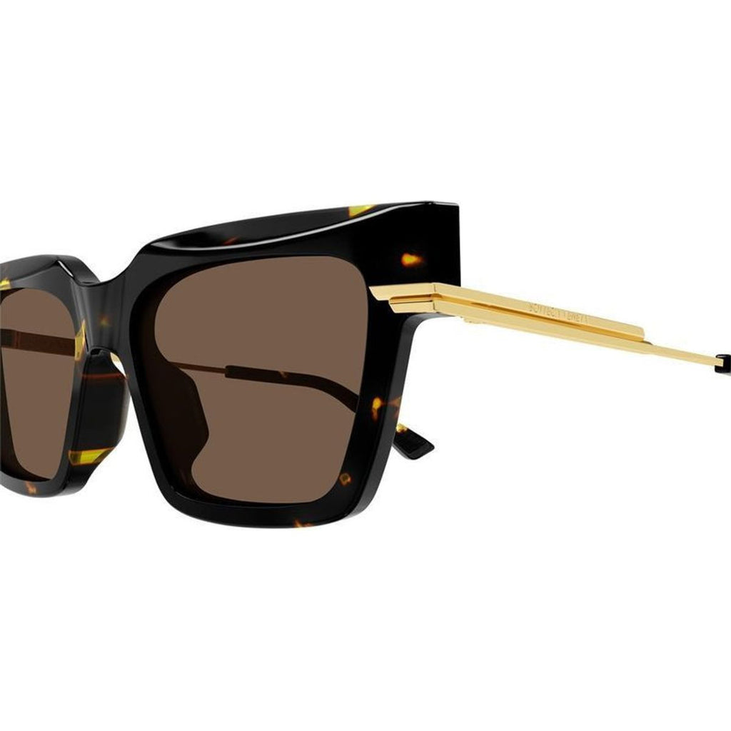 BV1242S, Havana/Brown Lenses