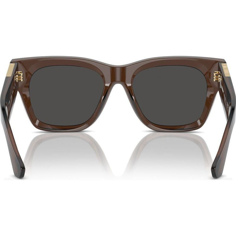 BE4424, Brown/Dark Grey Lenses