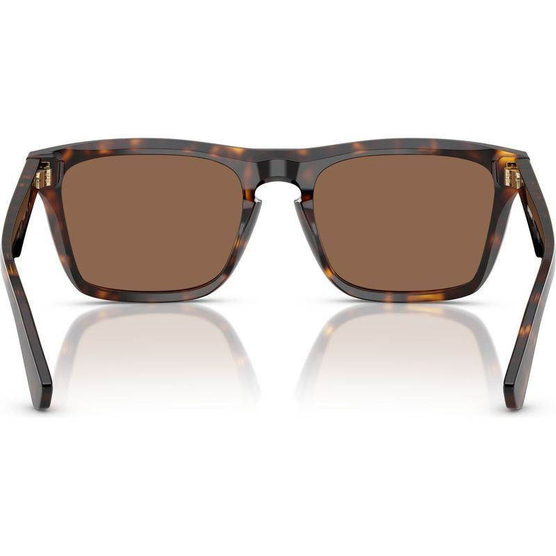 BE4434, Dark Havana/Dark Brown Lenses