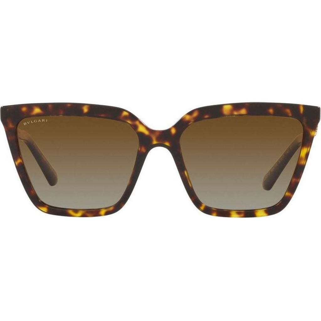 BV8255B, Havana/Brown Gradient Polarised Lenses