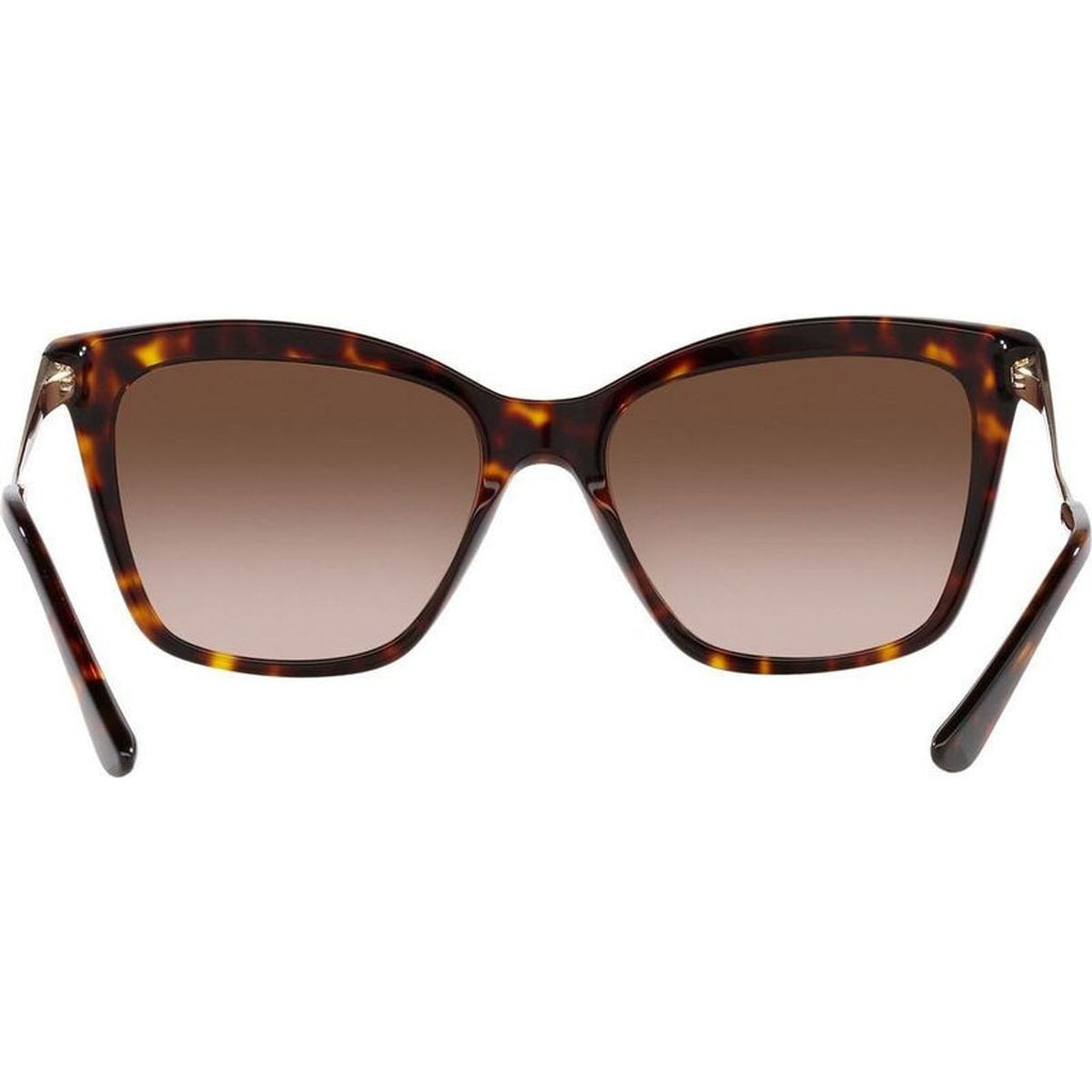 BV8257, Havana/Brown Gradient Lenses