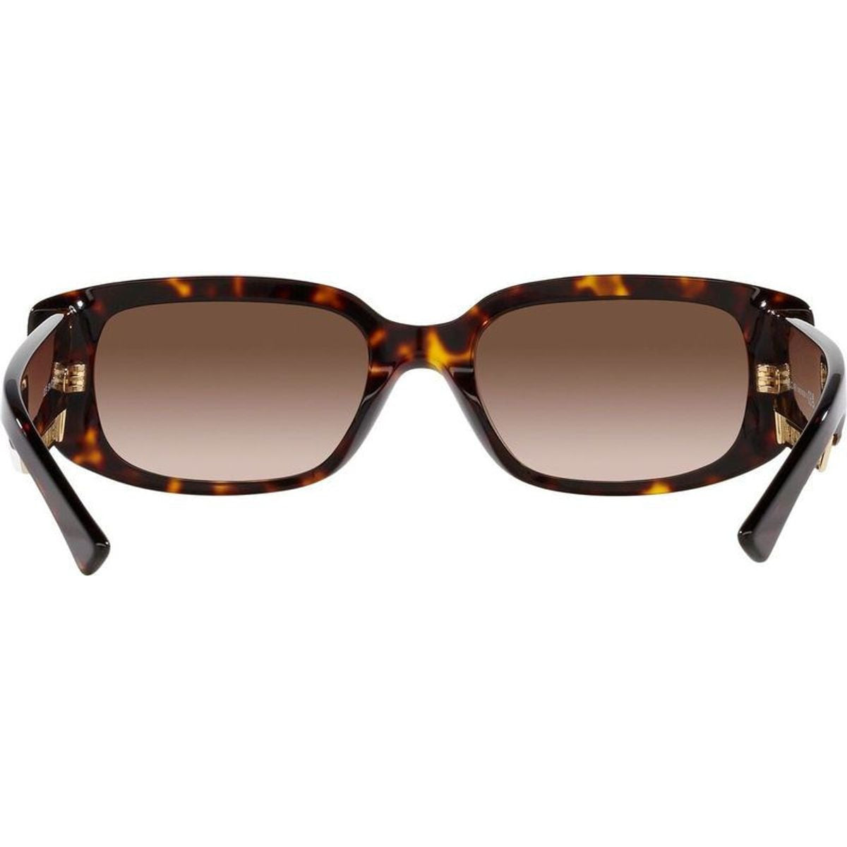 Buy Bvlgari BV8259 Havana/Brown | Afterpay | Zip Pay – Just Sunnies