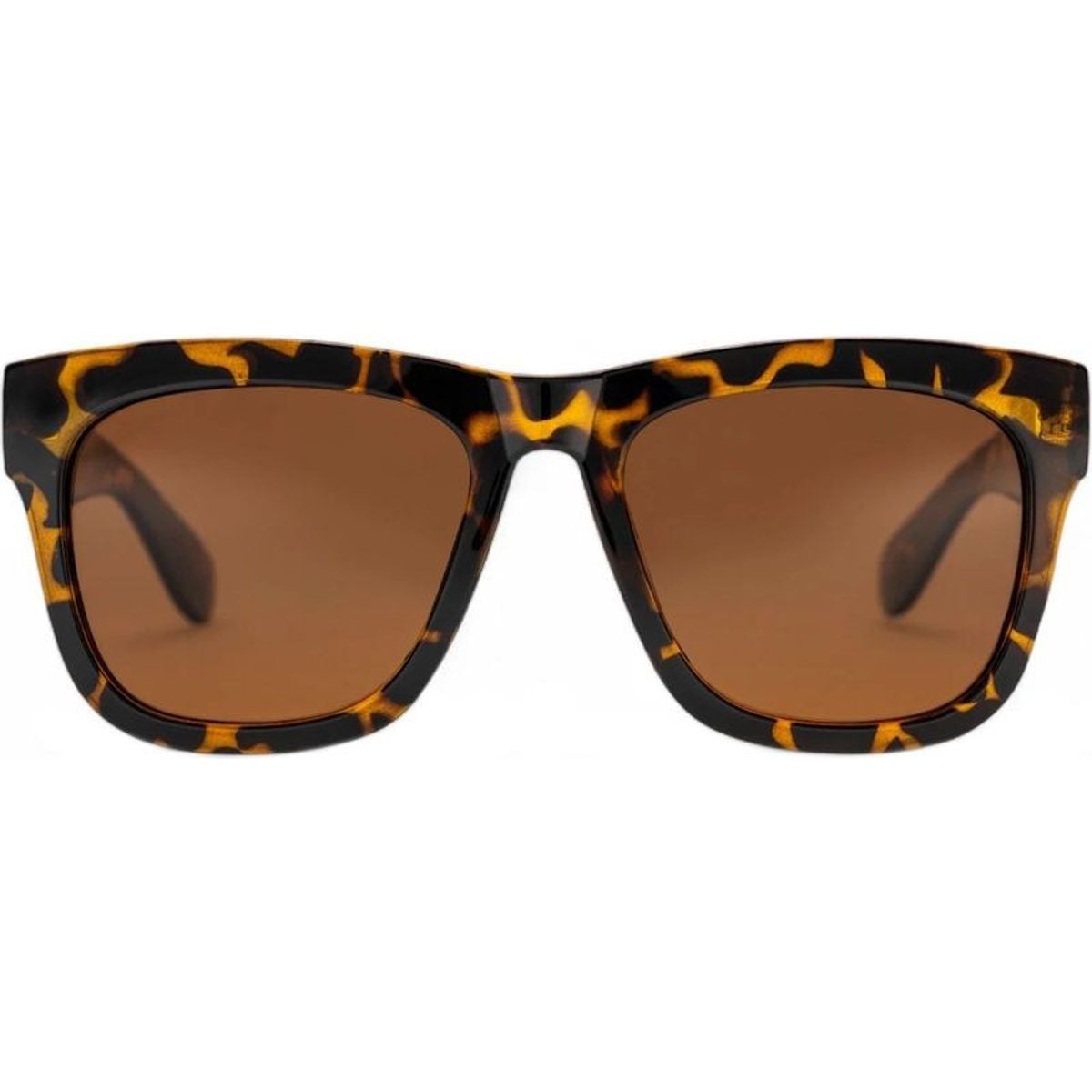 Haze, Turtle Brown/Brown Lenses