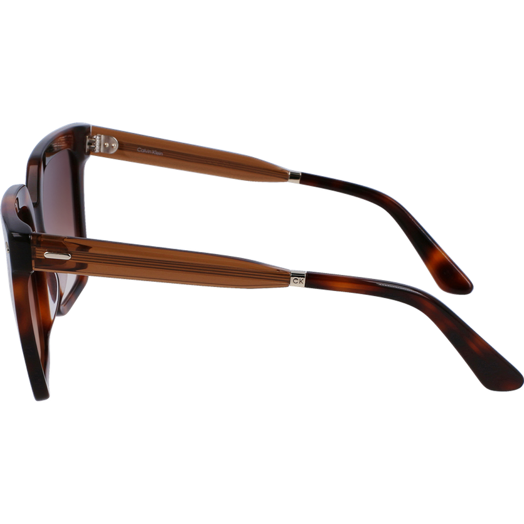 CK22534S, Brown Havana/Brown Gradient Lenses