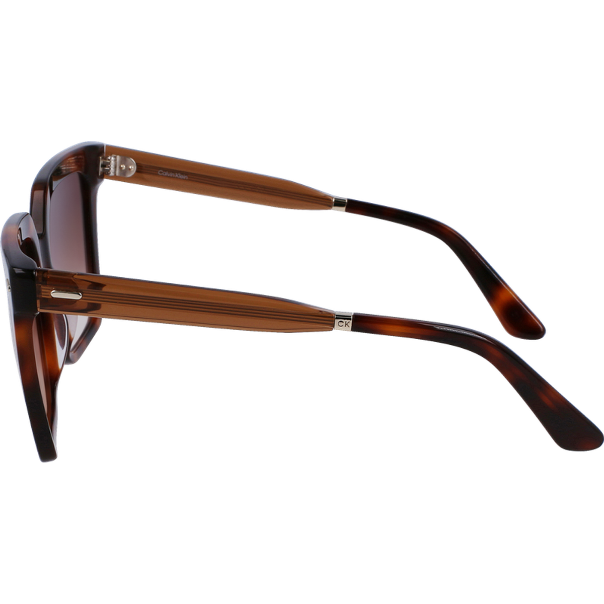 CK22534S, Brown Havana/Brown Gradient Lenses