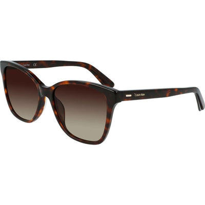 CK21529S, Havana/Brown Gradient Lenses