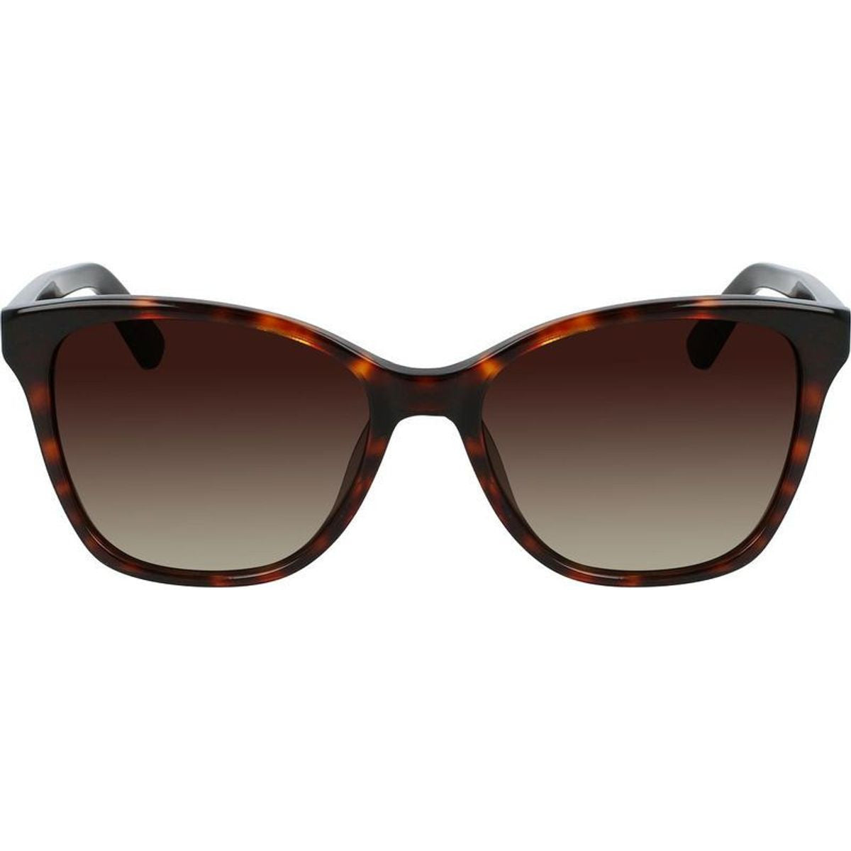 CK21529S, Havana/Brown Gradient Lenses