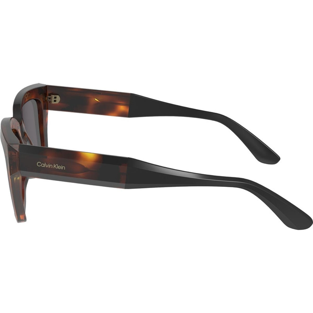 CK23540S, Havana/Grey Lenses