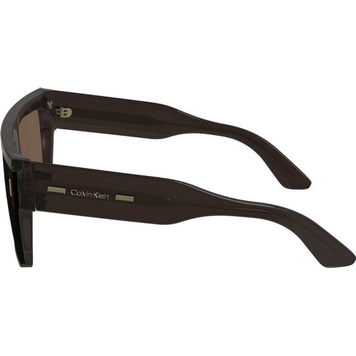 CK24502S, Taupe/Brown Lenses